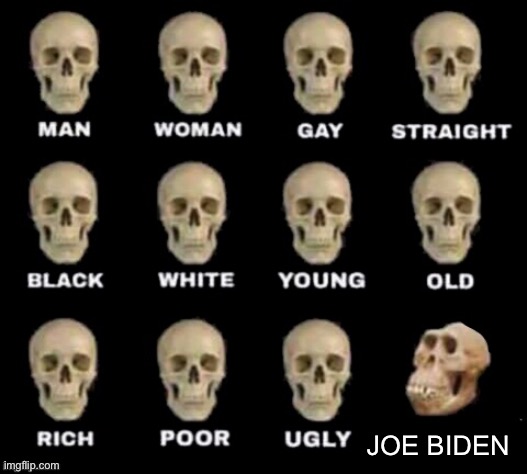 Joeanderthal | JOE BIDEN | image tagged in idiot skull,memes,politics lol | made w/ Imgflip meme maker