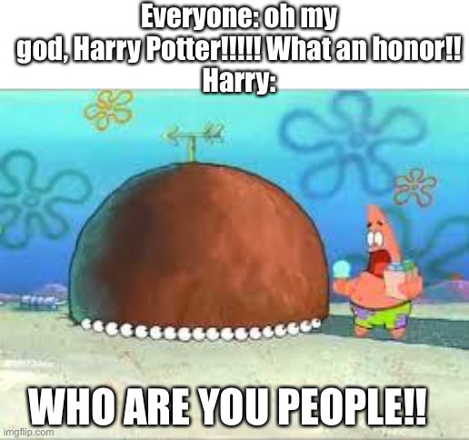 Who r u ppl | Everyone: oh my god, Harry Potter!!!!! What an honor!!
Harry:; WHO ARE YOU PEOPLE!! | image tagged in who are you people | made w/ Imgflip meme maker