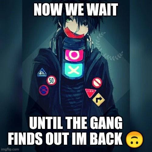 SENPAI- i mean THEGANG NOTICE ME | NOW WE WAIT; UNTIL THE GANG FINDS OUT IM BACK 🙃 | image tagged in rockpoison announcement template | made w/ Imgflip meme maker