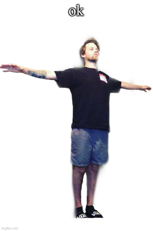 Yub T-Posing (transparent) | ok | image tagged in yub t-posing transparent | made w/ Imgflip meme maker