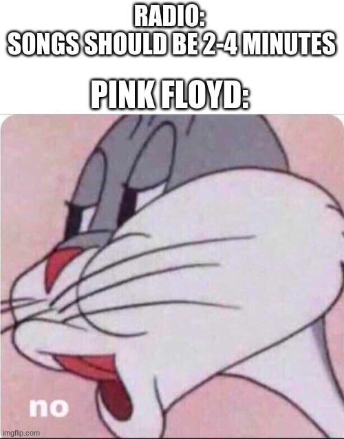 EcHoEs Be LiKe... | RADIO: 
SONGS SHOULD BE 2-4 MINUTES; PINK FLOYD: | image tagged in bugs no | made w/ Imgflip meme maker
