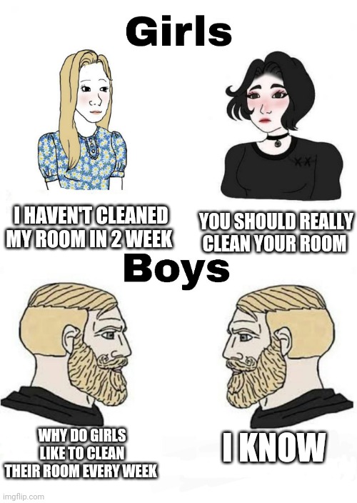Girls vs Boys | I HAVEN'T CLEANED MY ROOM IN 2 WEEK; YOU SHOULD REALLY CLEAN YOUR ROOM; I KNOW; WHY DO GIRLS LIKE TO CLEAN THEIR ROOM EVERY WEEK | image tagged in girls vs boys,boys vs girls | made w/ Imgflip meme maker