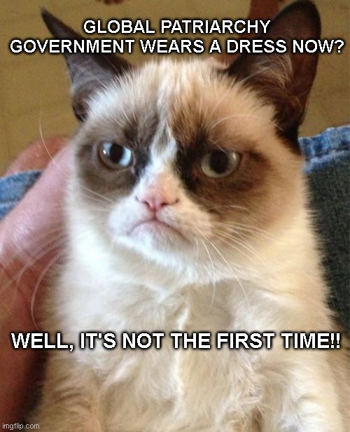 2021 Grump Anti Sexist Cat | GLOBAL PATRIARCHY GOVERNMENT WEARS A DRESS NOW? WELL, IT'S NOT THE FIRST TIME!! | image tagged in memes,grumpy cat,stupid,male,illogical,book of idiots | made w/ Imgflip meme maker