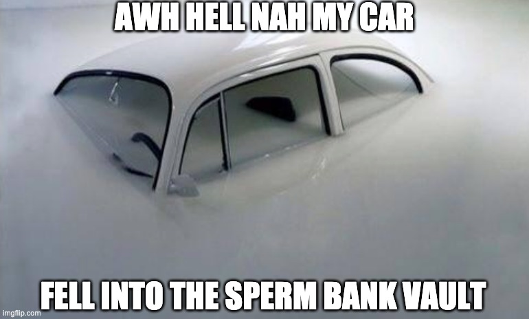 AWH HELL NAH MY CAR; FELL INTO THE SPERM BANK VAULT | made w/ Imgflip meme maker