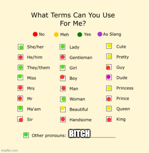 I could care less what you call me. | BITCH | image tagged in pronouns sheet | made w/ Imgflip meme maker
