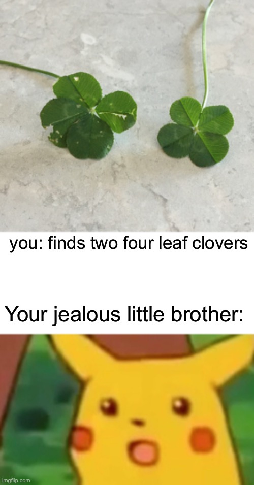 HEYOOOOO IM SUPER LUCKY DOOOOOOODSSSS!!!! | you: finds two four leaf clovers; Your jealous little brother: | image tagged in memes,surprised pikachu | made w/ Imgflip meme maker