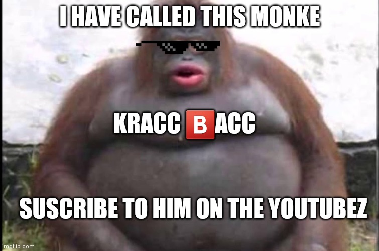 Subscribe to kracc ?️acc bcuz he is the funni messiah | I HAVE CALLED THIS MONKE; KRACC 🅱️ACC; SUSCRIBE TO HIM ON THE YOUTUBEZ | image tagged in stinky,comedy,monke | made w/ Imgflip meme maker