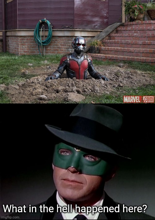 What in the hell happened here? | image tagged in antman steel,green hornet | made w/ Imgflip meme maker