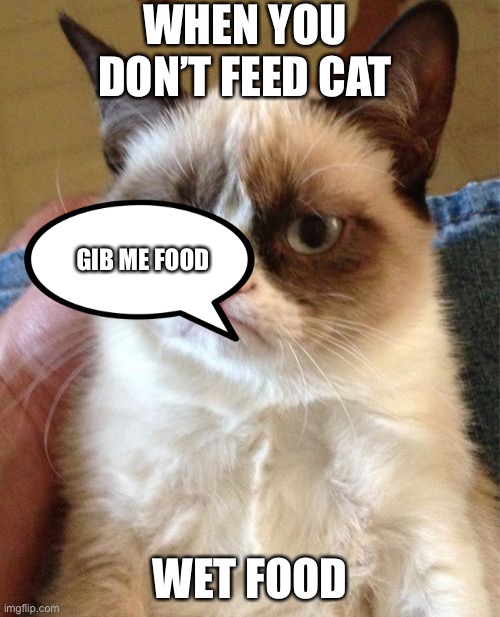 Grumpy Cat Meme | WHEN YOU DON’T FEED CAT; GIB ME FOOD; WET FOOD | image tagged in memes,grumpy cat | made w/ Imgflip meme maker