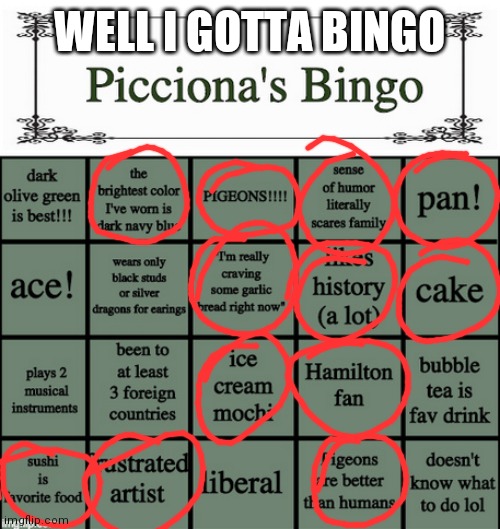 Well I gotta bingo | WELL I GOTTA BINGO | image tagged in picciona's bingo | made w/ Imgflip meme maker