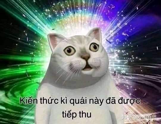 Tui. Blank Meme Template