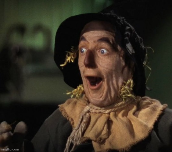 Straw Man - What a Great Idea | image tagged in straw man - what a great idea | made w/ Imgflip meme maker