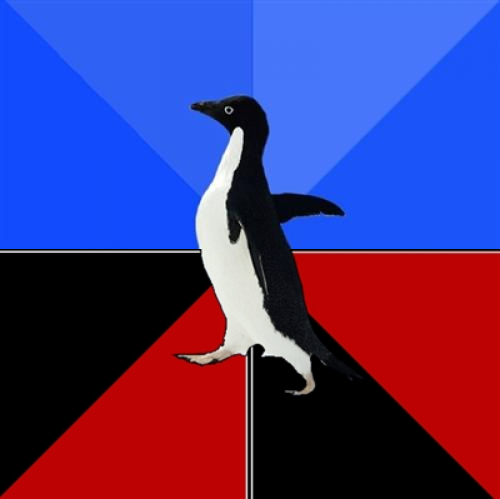 High Quality Socially Awkward Terrifying Penguin Blank Meme Template
