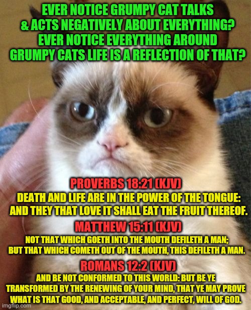 I know this but yet I still trip on it - James 4:17 | EVER NOTICE GRUMPY CAT TALKS & ACTS NEGATIVELY ABOUT EVERYTHING? EVER NOTICE EVERYTHING AROUND GRUMPY CATS LIFE IS A REFLECTION OF THAT? PROVERBS 18:21 (KJV); DEATH AND LIFE ARE IN THE POWER OF THE TONGUE: AND THEY THAT LOVE IT SHALL EAT THE FRUIT THEREOF. MATTHEW 15:11 (KJV); NOT THAT WHICH GOETH INTO THE MOUTH DEFILETH A MAN; BUT THAT WHICH COMETH OUT OF THE MOUTH, THIS DEFILETH A MAN. ROMANS 12:2 (KJV); AND BE NOT CONFORMED TO THIS WORLD: BUT BE YE TRANSFORMED BY THE RENEWING OF YOUR MIND, THAT YE MAY PROVE WHAT IS THAT GOOD, AND ACCEPTABLE, AND PERFECT, WILL OF GOD. | image tagged in memes,grumpy cat,jesus christ,bible verse,words that offend liberals | made w/ Imgflip meme maker