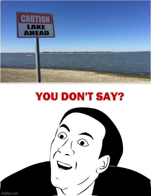 I finally figured out how to add google images on memes | image tagged in memes,you don't say,lake ahead,it's that obvious | made w/ Imgflip meme maker