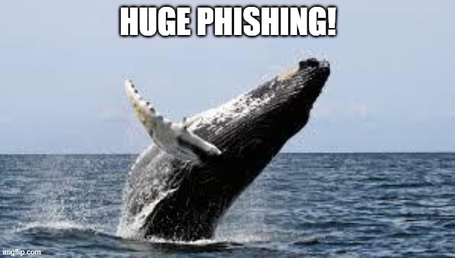 Whale. | HUGE PHISHING! | image tagged in whale | made w/ Imgflip meme maker