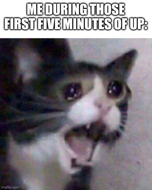 ;-; | ME DURING THOSE FIRST FIVE MINUTES OF UP: | image tagged in screaming cat | made w/ Imgflip meme maker