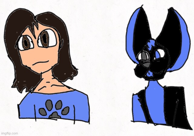 Based of off of Nemos | image tagged in furry | made w/ Imgflip meme maker