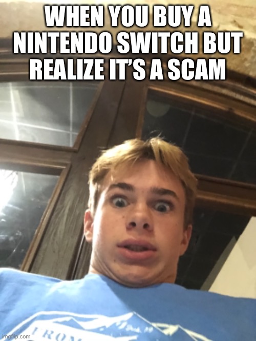 The scam | WHEN YOU BUY A NINTENDO SWITCH BUT REALIZE IT’S A SCAM | image tagged in funny memes | made w/ Imgflip meme maker