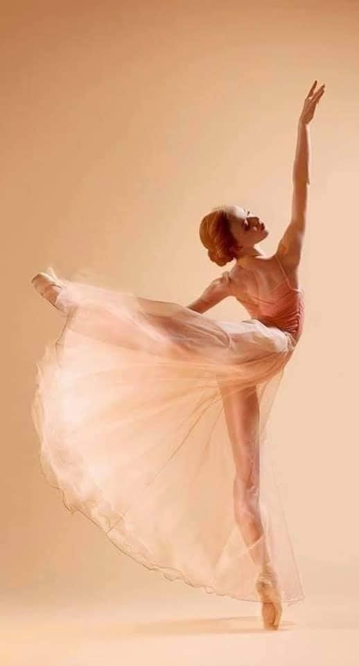 Ballet dancer Blank Meme Template