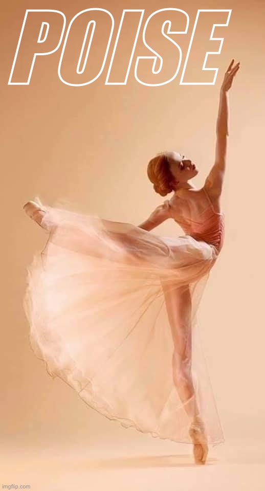 Poise | POISE | image tagged in ballet dancer | made w/ Imgflip meme maker