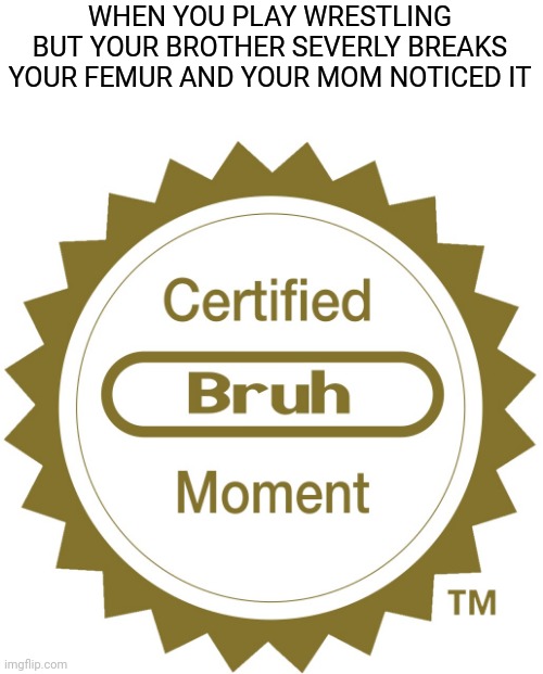 Certified bruh moment | WHEN YOU PLAY WRESTLING BUT YOUR BROTHER SEVERLY BREAKS YOUR FEMUR AND YOUR MOM NOTICED IT | image tagged in memes,certified bruh moment,wrestling,brother,injury,femur | made w/ Imgflip meme maker