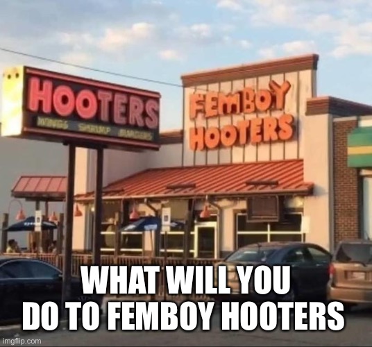 WHAT WILL YOU DO TO FEMBOY HOOTERS | made w/ Imgflip meme maker