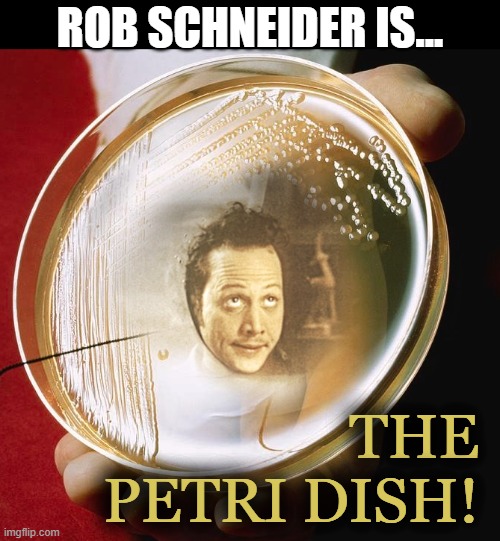 Rob Schneider is... THE PETRI DISH! | ROB SCHNEIDER IS... THE PETRI DISH! | image tagged in science,ah i see you are a man of culture as well,cultural appropriation,cancel culture,pop culture,culture club | made w/ Imgflip meme maker