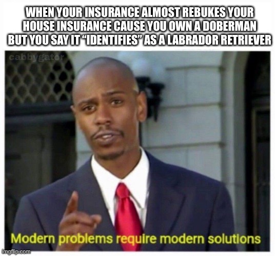 Modern Problems Require Modern Solutions | WHEN YOUR INSURANCE ALMOST REBUKES YOUR HOUSE INSURANCE CAUSE YOU OWN A DOBERMAN BUT YOU SAY IT “IDENTIFIES” AS A LABRADOR RETRIEVER | image tagged in modern problems,dog | made w/ Imgflip meme maker