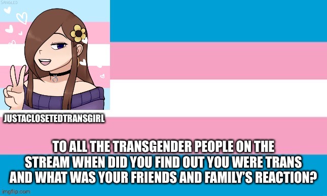 JustAClosetedTransGirl Announcement Board | TO ALL THE TRANSGENDER PEOPLE ON THE STREAM WHEN DID YOU FIND OUT YOU WERE TRANS AND WHAT WAS YOUR FRIENDS AND FAMILY’S REACTION? | image tagged in justaclosetedtransgirl announcement board,transgender,serious | made w/ Imgflip meme maker