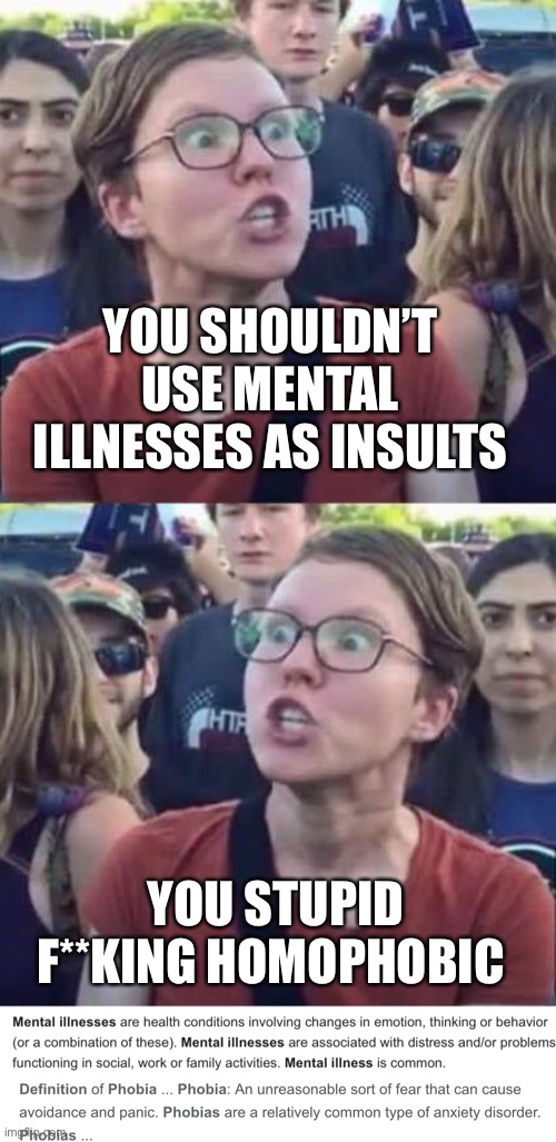 Angry Liberal | YOU SHOULDN’T USE MENTAL ILLNESSES AS INSULTS; YOU STUPID F**KING HOMOPHOBIC | image tagged in angry liberal hypocrite | made w/ Imgflip meme maker