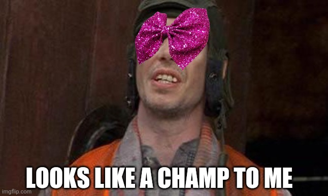 Looks Good To Me | LOOKS LIKE A CHAMP TO ME | image tagged in looks good to me | made w/ Imgflip meme maker
