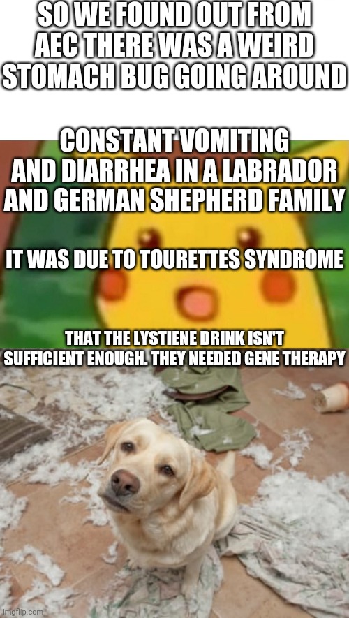 WHY DO YOU ASK TOO MANY QUESTION POST FIRING PEOPLE Imgflip