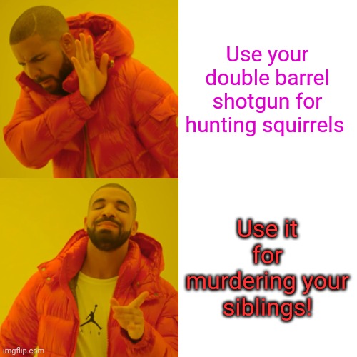Drake Hotline Bling Meme | Use your double barrel shotgun for hunting squirrels Use it for murdering your siblings! | image tagged in memes,drake hotline bling | made w/ Imgflip meme maker