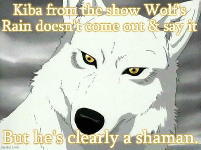 Animals are shamans too. | Kiba from the show Wolf's Rain doesn't come out & say it; But he's clearly a shaman. | image tagged in kiba from wolf's rain,pagan,end of the world,anime | made w/ Imgflip meme maker