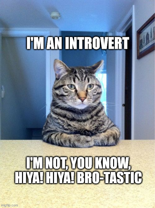 Take A Seat Cat Meme | I'M AN INTROVERT; I'M NOT, YOU KNOW, HIYA! HIYA! BRO-TASTIC | image tagged in memes,take a seat cat | made w/ Imgflip meme maker