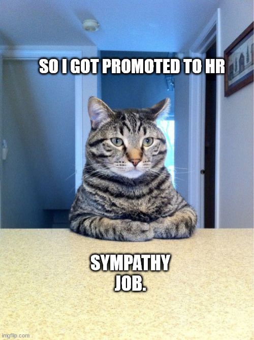 Take A Seat Cat | SO I GOT PROMOTED TO HR; SYMPATHY JOB. | image tagged in memes,take a seat cat | made w/ Imgflip meme maker