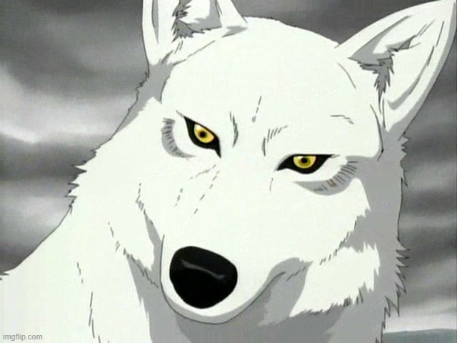 Kiba from Wolf's Rain | image tagged in kiba from wolf's rain,anime | made w/ Imgflip meme maker