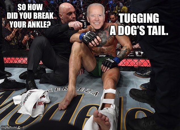 Joe broke his foot by getting rough with his dog |  SO HOW DID YOU BREAK YOUR ANKLE? TUGGING A DOG’S TAIL. | image tagged in joe rogan joe biden mcgregor interview,memes,dog,broken,tail,bathroom | made w/ Imgflip meme maker