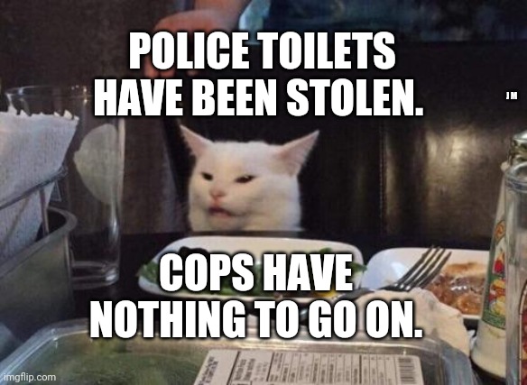 Salad cat | POLICE TOILETS HAVE BEEN STOLEN. J M; COPS HAVE NOTHING TO GO ON. | image tagged in salad cat | made w/ Imgflip meme maker