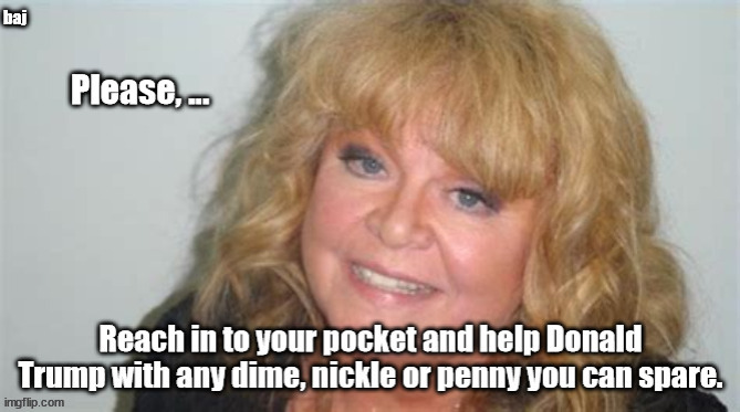 Save the Donald | baj | image tagged in sally struthers,save donald | made w/ Imgflip meme maker