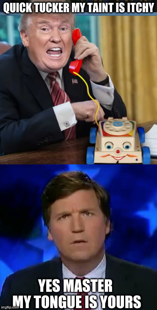 QUICK TUCKER MY TAINT IS ITCHY YES MASTER 
MY TONGUE IS YOURS | image tagged in i'm the president,confused tucker carlson | made w/ Imgflip meme maker