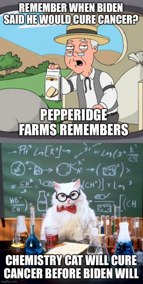 REMEMBER WHEN BIDEN SAID HE WOULD CURE CANCER? PEPPERIDGE FARMS REMEMBERS CHEMISTRY CAT WILL CURE CANCER BEFORE BIDEN WILL | image tagged in memes,pepperidge farm remembers,chemistry cat | made w/ Imgflip meme maker