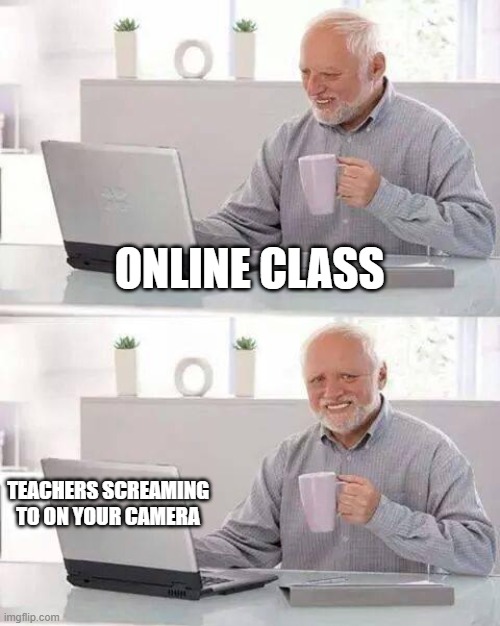 We know about this |  ONLINE CLASS; TEACHERS SCREAMING TO ON YOUR CAMERA | image tagged in memes,hide the pain harold | made w/ Imgflip meme maker