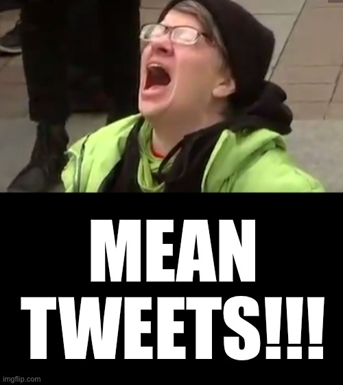 Screaming Liberal  | MEAN TWEETS!!! | image tagged in screaming liberal | made w/ Imgflip meme maker