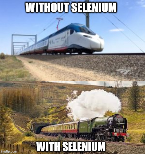 Selenium Automation | WITHOUT SELENIUM; WITH SELENIUM | image tagged in speed,compare | made w/ Imgflip meme maker