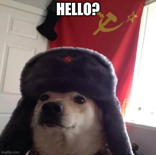 Russian Doge | HELLO? | image tagged in russian doge | made w/ Imgflip meme maker