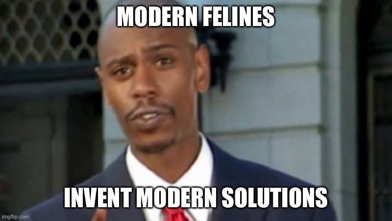 Modern Porblems Template | MODERN FELINES INVENT MODERN SOLUTIONS | image tagged in modern porblems template | made w/ Imgflip meme maker