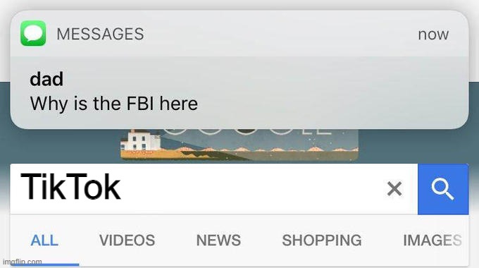 why is the FBI here? | TikTok | image tagged in why is the fbi here | made w/ Imgflip meme maker