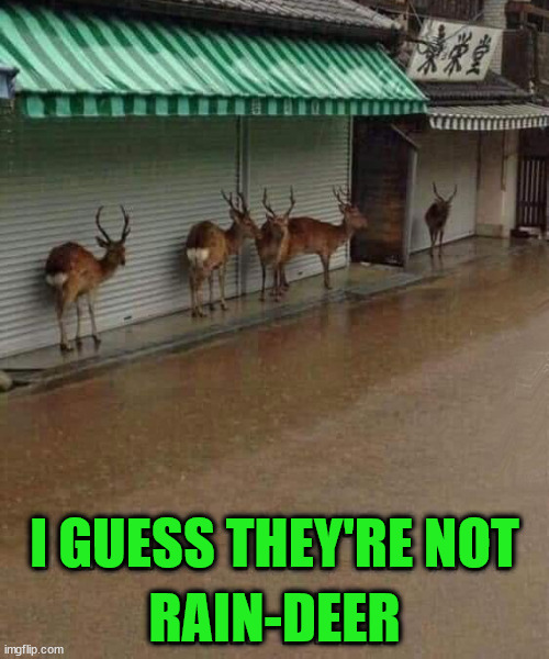 I GUESS THEY'RE NOT; RAIN-DEER | image tagged in eye roll | made w/ Imgflip meme maker